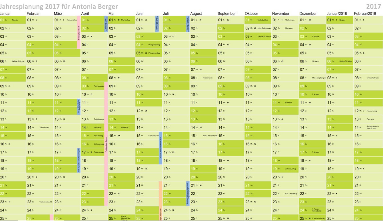 Antonia Berger Schwimmblog: Meine Jahresplanung 2017