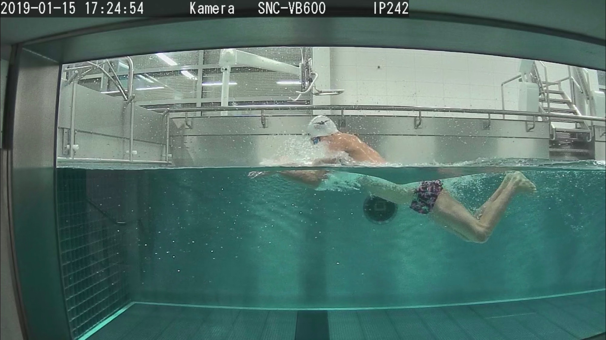 Taliso Engel Schwimmblog: Komplexe Leistungsdiagnostik in Leipzig