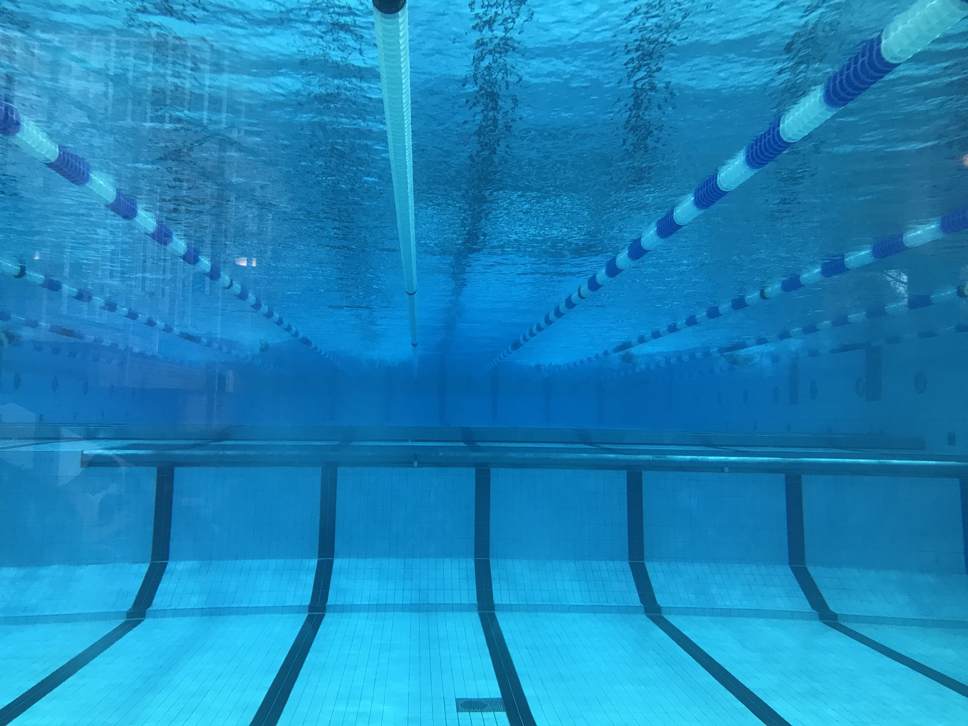 Taliso Engel Schwimmblog: Piranha Meeting in Hannover