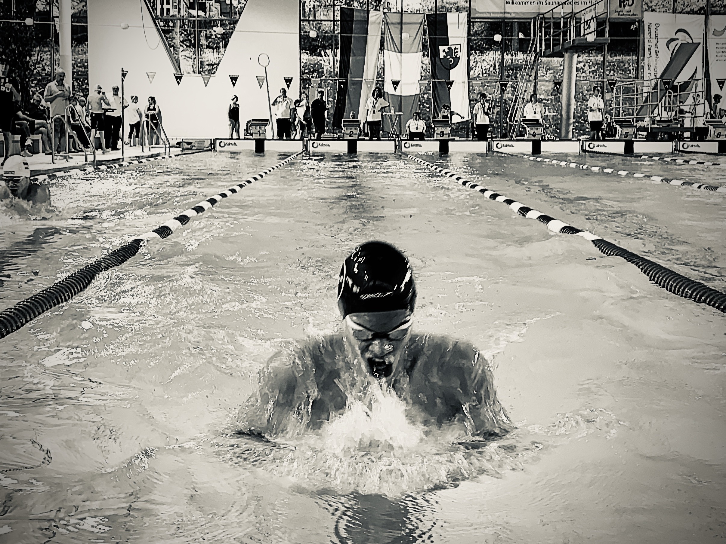 Taliso Engel Schwimmblog: Deutsche Kurzbahn Meisterschaft in Remscheid