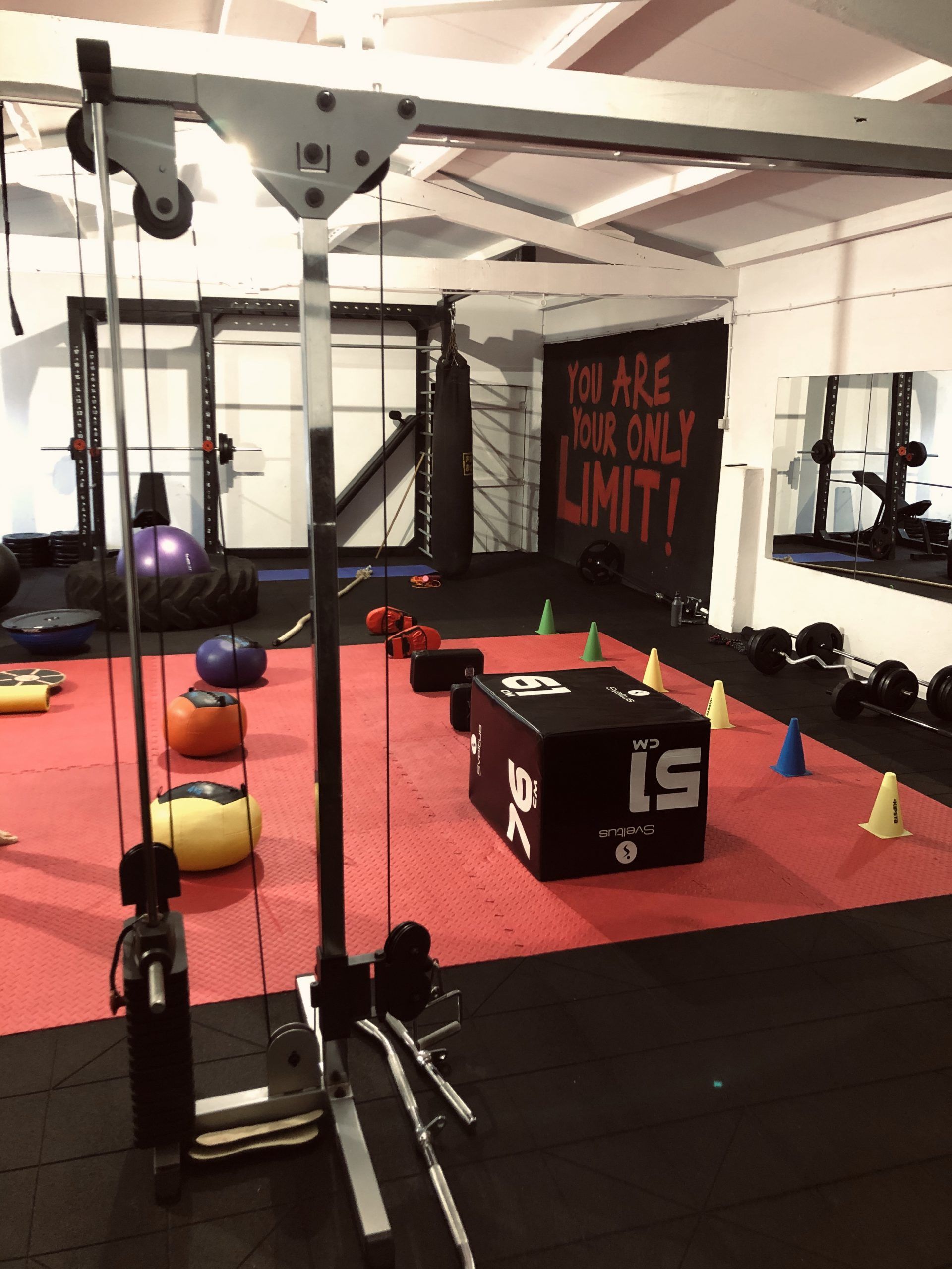 Sportblog – Freeski Zimmermann Lisa